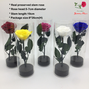 <span class=keywords><strong>Rosas</strong></span> <span class=keywords><strong>estabilizadas</strong></span> reales, flores preservadas al por mayor, hermosas <span class=keywords><strong>rosas</strong></span> preservadas con tallo eterno de <span class=keywords><strong>rosas</strong></span> - Product Image 2