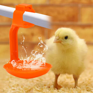 Granja avícola colgar vasos <span class=keywords><strong>para</strong></span> beber <span class=keywords><strong>de</strong></span> pollo <span class=keywords><strong>precio</strong></span> bajo sistema bebedero <span class=keywords><strong>de</strong></span> pollo <span class=keywords><strong>bebederos</strong></span> <span class=keywords><strong>para</strong></span> <span class=keywords><strong>pollos</strong></span> - Product Image 1