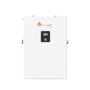 Power Wall Home Battery Off Grid Felicity Deep Cycle 48V 200AH for Backup Power Solar Energy <strong>Storage</strong> <strong>Systems</strong> - Product Image 1