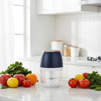 Hachoir automatique à ail et oignon, mixeur portable, commande par bouton-poussoir, alimenté par batterie, sans BPA