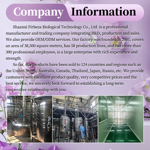 有機パイナップルフルーツジュース濃縮原料粉末エキス - Product Image 3