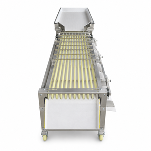 Máquina Clasificadora de Frutas de Acero Inoxidable, Multicarril, para Tomates Cherry - Product Image 1