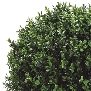 Simulasi kotak bulat kayu dieffenbachiia bulat jenis pohon palsu tropis hijau tanaman dekoratif bunga bonsai pot