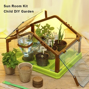 Kit de Bonsái Personalizado para Regalo de Año Nuevo, Casa de Sol para Niños, Kit de Iniciación para Cultivar Bonsáis en Interiores - Product Image 1