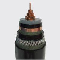 Type et taille de câble: Isolation VFD 3 Core x 4/0 AWG + 3PE XLP, gaine en PVC, nominale 5KV