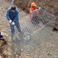 Caisse de gabion soudée galvanisée à chaud pour murs de soutènement multi-usages et travaux de construction paysagère