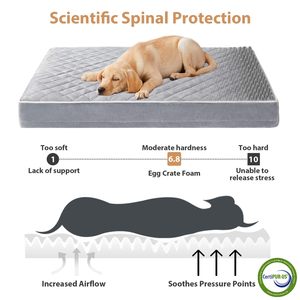 Lit orthopédique imperméable pour chiens de grande taille avec housse amovible et lavable, matelassage multi-aiguilles - Product Image 3