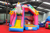 WINSUN-Videur gonflable licorne coloré avec combos de toboggans pour enfants, parc à thème commercial extérieur de haute qualité
