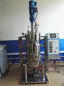 Biorreactor de laboratorio precio barato biorreactor pequeño 20l 50L - Product Image 5