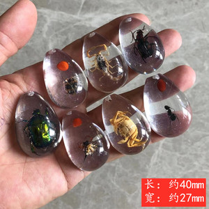 Wowei, venta al por mayor, pequeño espécimen Real, insecto, ámbar, accesorios, juguetes para niños, accesorios, espécimen de resina - Product Image 2