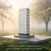 Batterie LiFePO4 Dyness STACK314 51.2V 314Ah CE 8000 cycles Garantie 10 ans