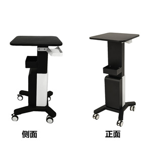 Beauty Instrument <b>Cart</b> 420x380mm Metal <b>Storage</b> Trolley With Wheels For Salon Use - Product Image 2