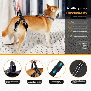 Harnais d'assistance arrière en polyester avec support de traction pour chiens âgés/ Blessés - Utilisation extérieure - Product Image 2
