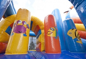 Castillo Inflable con Tobogán, Temática de Peces, Aprobado por CE EN71, de Grado Comercial - Product Image 4