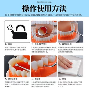 Stainless Steel Dental Oral Care <b>Tools</b> 4 Piece Set With Mirror Probe Teeth Cleaning <b>Kit</b> For Home Use - Product Image 4