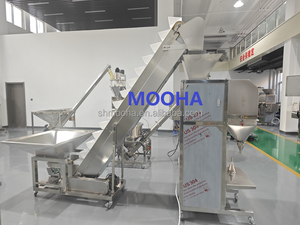Certification CE 6kg SS304 de qualité alimentaire deux échelles haute précision glaçons granulés particules remplissage machine à emballer <span class=keywords><strong>Shangai</strong></span> - Product Image 6