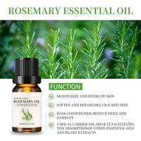 Huile Essentielle de Romarin 100% Pure, Parfum Herbal, Formule Anti-Chute de Cheveux pour Massage du Cuir Chevelu et du Corps, Soin de la Peau pour Hommes et Femmes