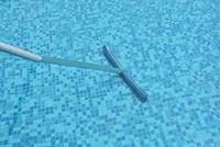 Vente chaude 18 "/45CM Brosse murale de luxe avec brosse en acier inoxydable pour brosse de nettoyage de piscine