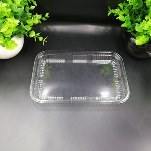 Blister en plastique transparent jetable personnalisé aliments frais viande légumes sushi fruits <span class=keywords><strong>de</strong></span> <span class=keywords><strong>mer</strong></span> <span class=keywords><strong>plateau</strong></span> fruits - Product Image 4