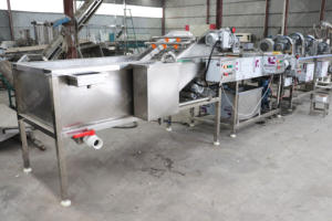 Planta de procesamiento de jugo de fruta Chile sandía langosta equipo limpiador - Product Image 6