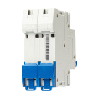CHNT AC DC MCB NB1Z-63 1-63A 1P 110VDC/230VAC400VAC 2P 220VDC/400VAV Disjoncteur Miniature