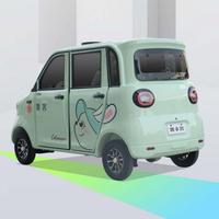 Voiture électrique pour adultes BAIMA 60V1000W, mini véhicule électrique à 4 roues homologué pour la route avec batterie au plomb-acide pour les familles et les particuliers