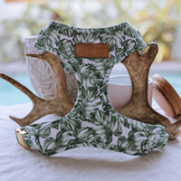 Sunraymascota Fournisseur d'accessoires pour animaux de compagnie, fabricant de harnais personnalisés pour chiens, ensemble de harnais réglables et personnalisés pour chiens