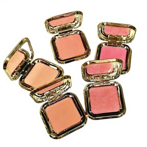 Polvo Compacto Monocromático MGL Iluminador Natural para Piel Clara, Acabado Mate, Baja Saturación, Venta Caliente - Product Image 1