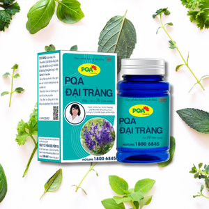 Meilleure Qualité Coptis Chinensis Capsules Complément Santé pour Adolescents Soutient Gastrointestinal 36 Mois Étagère Femmes Enceintes - Product Image 1