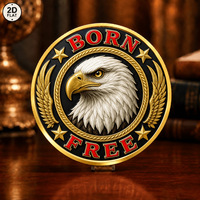 Pièce de défi double face Aigle chauve et Hibou, en alliage de zinc et fer, émail doré, avec boîtier en acrylique, Born Free Wise Soul, cadeau de collection