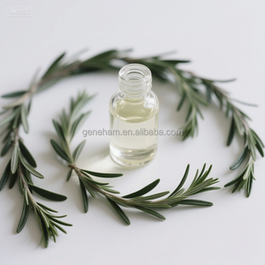 Extracto de hierbas de grado alimenticio directo de fábrica, aceite de romero con infusión de biotina, ácido carnósico para fortalecer el cabello, tambor de botella disponible - Product Image 6