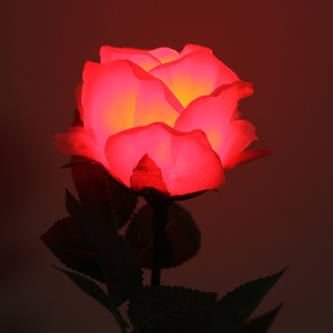 Luz Tricolor Rosa (Control Remoto) Trucos de Magia para Escenario Ilusiones Accesorio para Fiesta Espectáculo de Magia Mago Clásico Magia Divertida - Product Image 2