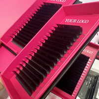 Perlengkapan Grosir Logo Pribadi Matte Black Velvet Mink Eyelash Extension Trays Volume Lashes CC CD DD Dark Black Cashmere Lash