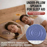Haut-parleur de chevet 2026 de haute qualité, petit haut-parleur sous oreiller, bruit blanc, Bluetooth