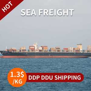 Transitario de Carga Marítima DDP Confiable de China a Todo el Mundo |   Agente de Envío Puerta a Puerta FCL para Logística de Amazon FBA - Product Image 5
