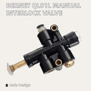 Bernet manuale valvola di interblocco modello QL01L struttura di sicurezza per il sistema di aria serbatoio parti di temperatura media 1 anno di garanzia - Product Image 2