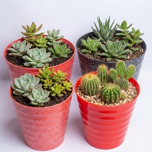 Jardinières modernes minimalistes en PP pour plantes vertes, pots de fleurs d'extérieur, design noir moucheté, utilisation en jardin, petite taille - Product Image 5