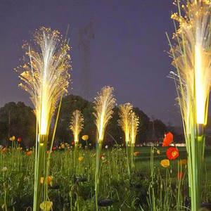 IP65 évalué DC Power PVC corps LED lumière de jardin cour extérieure chemin Fiber optique Reed insertion au sol lumière décorative - Product Image 5