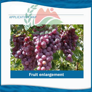 <span class=keywords><strong>Fongicide</strong></span> multi-site protecteur pour la gestion de la résistance, fournisseur chinois d'oxine-cuivre SC pour les raisins - Product Image 4