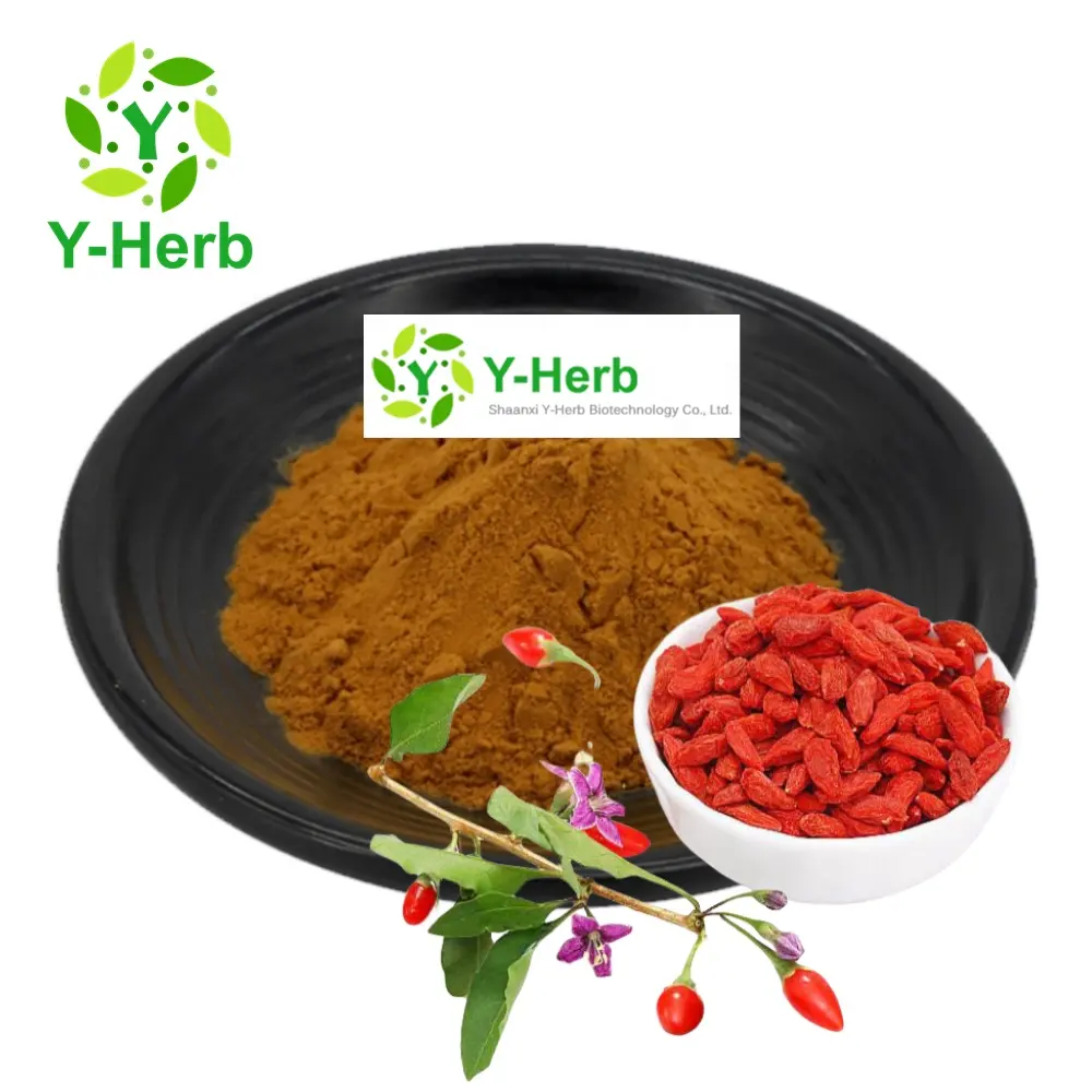 Y-Herb Supply Natural Polysaccharides 50% Organic 10:1 Chinese Goji Berry/Ningxia Wolfberry/Goji Extract