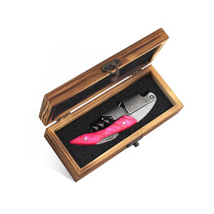 Emballage en résine de différentes couleurs Ouvre-bouteille de clé de vin Tire-bouchon à vin Boîte cadeau Noir Tire-bouchon multifonction de luxe personnalisé - Product Image 5