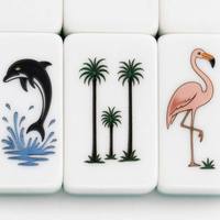 Tuiles de Mahjong Américaines en Acrylique Sculptées, Thème Île Tropicale Bleu et Blanc, Luxe Portable, pour Divertissement et Rassemblements