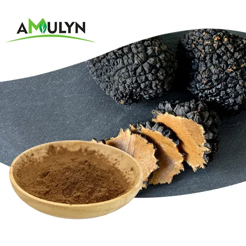 AMULYN 100% Pure Nature Black Truffle Extract Powder