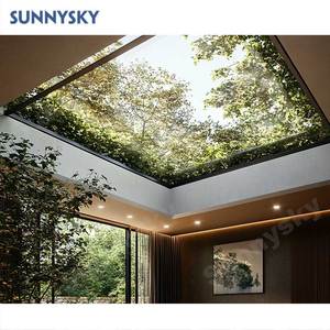 Sunnysky nfrc đôi tráng men điện tự động cửa sổ Trần mái cửa sổ Trần truy cập mái nở với điều khiển từ xa cửa sổ khác - Product Image 1
