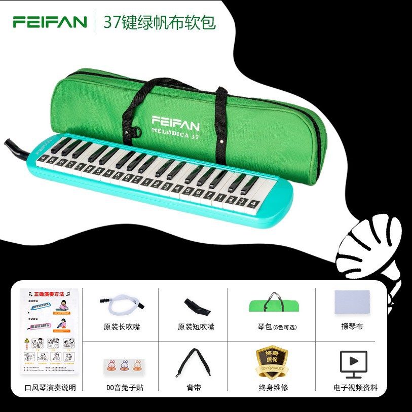 Pack souple 37 touches, modèle de base vert, sans autocollants pour clavier