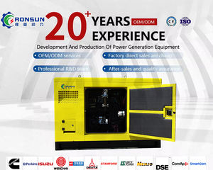 אורז קליפות עץ גלולה sawwerided מיטה ביומסה גז גנרטור כוח צמח כוח למכירה - Product Image 5