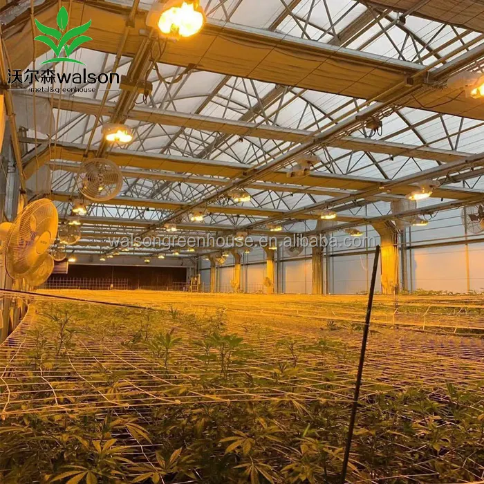 100% 自動ライト剥奪ブラックアウト温室医療植物成長