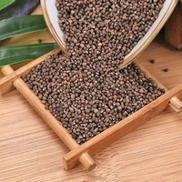 Graines de Perilla Zi Su Zi Séchées, Granulés d'Herbes Chinoises Brutes de Haute Qualité, Compléments Alimentaires et de Santé
