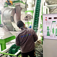 Usine de granulés de bois clé en main RICHI - Usine de traitement de granulés de bois d'eucalyptus et de bois de caoutchouc à haute capacité avec matrice annulaire