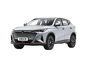 ชางอัน เอ็กซ์5 พลัส สำหรับตลาดประเทศไทย จัดส่งรายเดือนผ่านบริการทางเรือช่องทางใหม่ฉงชิ่ง - Product Image 3